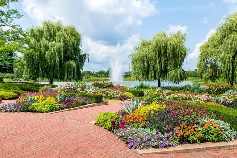 Car Service To Midway Airport MDW - Glencoe (IL)