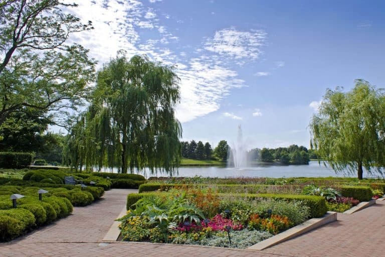 Airport Car Service Chicago O'hare To and From Wheeling (IL)